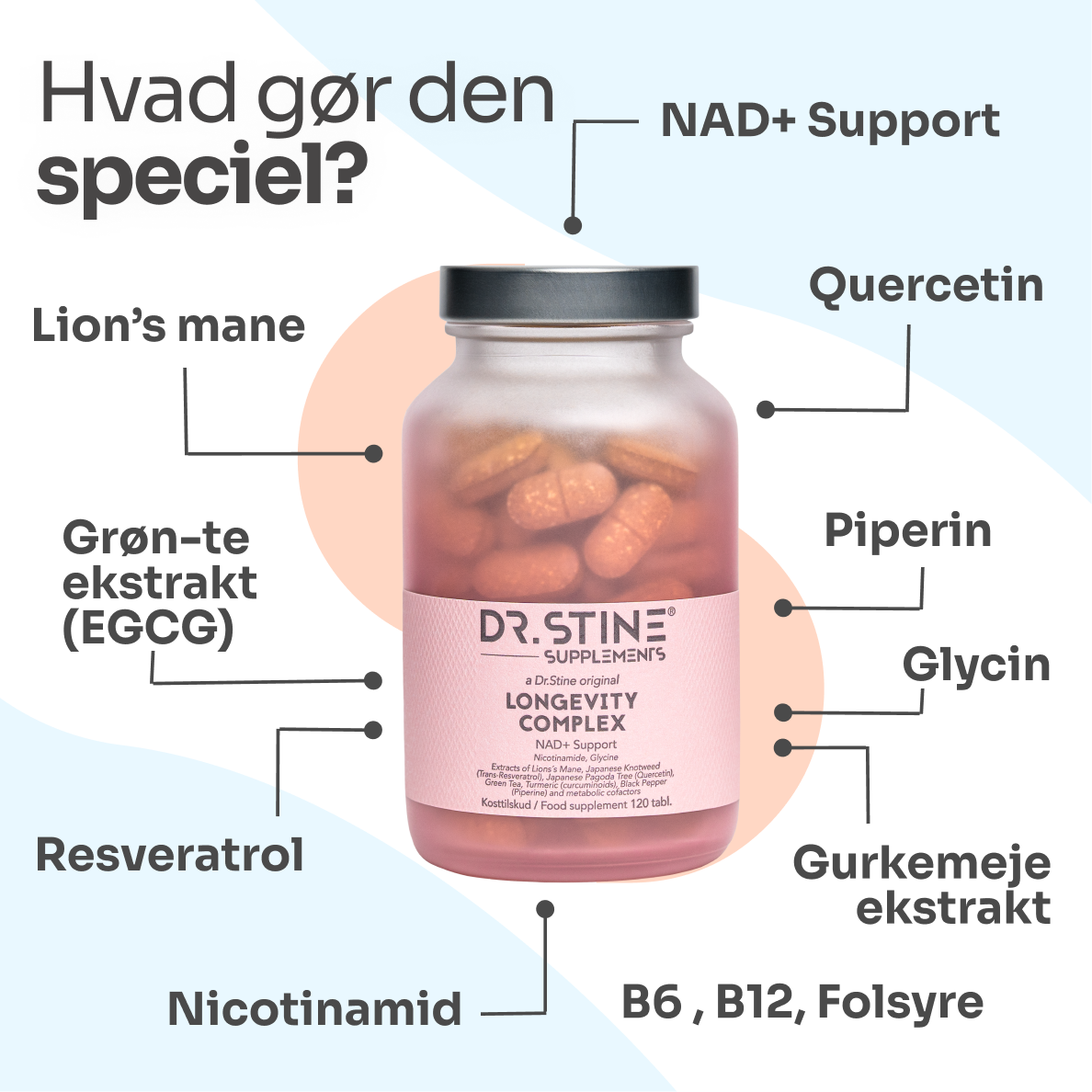 Dr. Stine Collagen with Sea Buckthorn supplement